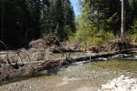 Portage at at Braided Channel