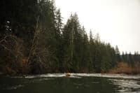 One of the Early Rapids