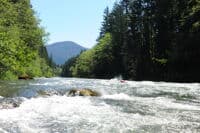 Rapid Between Huffacker Bridge and Paul's