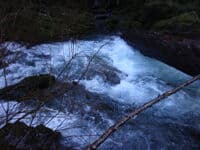 river wide log