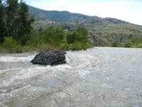Looking Upstream at Meteorite