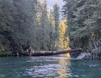 Over / Under Log