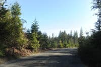 View of the Take-Out Where You Come Out to the Road
