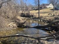 Just downstream of entering Whitnall park