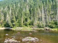 Packrafts on the Water