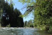 Crystal Creek Bridge