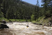 Pinebox Rapid