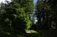 Tanner Access Trail