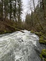 Downstream of Storm Drain
