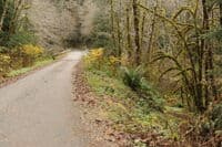 Forest Road 2932 Bridge