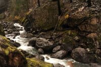 Dewatered Rapids at KOP D1.1