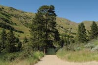 Trail to the River at Beehive Bend