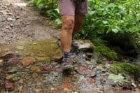 Small Tributary on the Trail