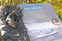 Interpretive Panels at the Falls
