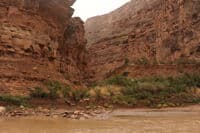 Between Bodie Canyon and Cove Canyon