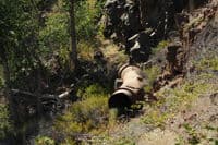 Remnants of White River Hydroelectric Project