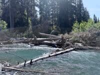 More logjams 