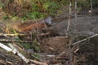 Blown Culvert on 29 Road