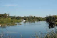 Looking Downstream at Left Channel Wapato Diversion