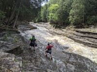 Scenic Gorge View
