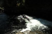 Taka on Tumbledown