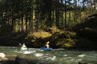 The Runout Below Fisk Falls
