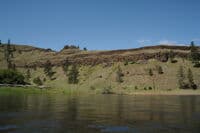 Middle Fork Confluence