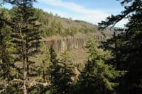 A View Into the Canyon