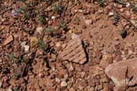 Pot Shard at Unkar Delta