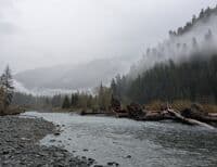 Floodplain with views