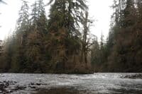 Confluence of Sitkum with South Fork Calawah