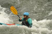 Kestrel on the Rogue River