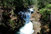 Falls Upstream of the Trail Bridge
