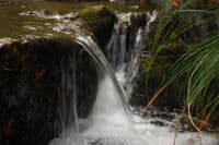 Jenny Creek