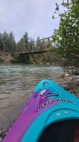 Put in Bridge at Salmon viewing trail