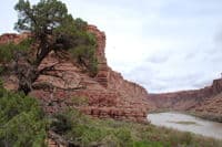 Green River in Canyonlands