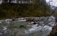upper rapid