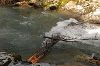 Wood Hazard
