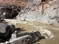 Skull Rapid