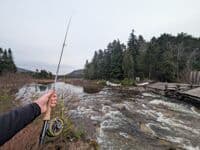 Fishin duck hole