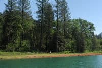 McCloud Bridge Day Use Area