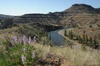 Camp 3 at Neal Butte