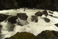 Rapids at KOP D1.2