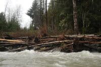 Wood Hazard at Mountain Loop Highway Bridge