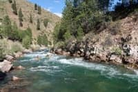 Kirkham Rapid