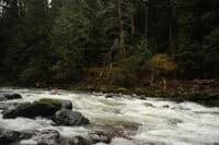 Cyn on the Sol Duc