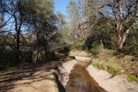 Dewatered Canal