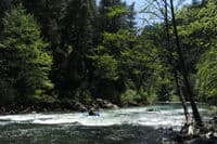 McCloud River whitewater