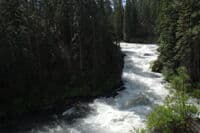 Benham Falls Looking Upstream