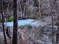 Log jam at mile 7ish